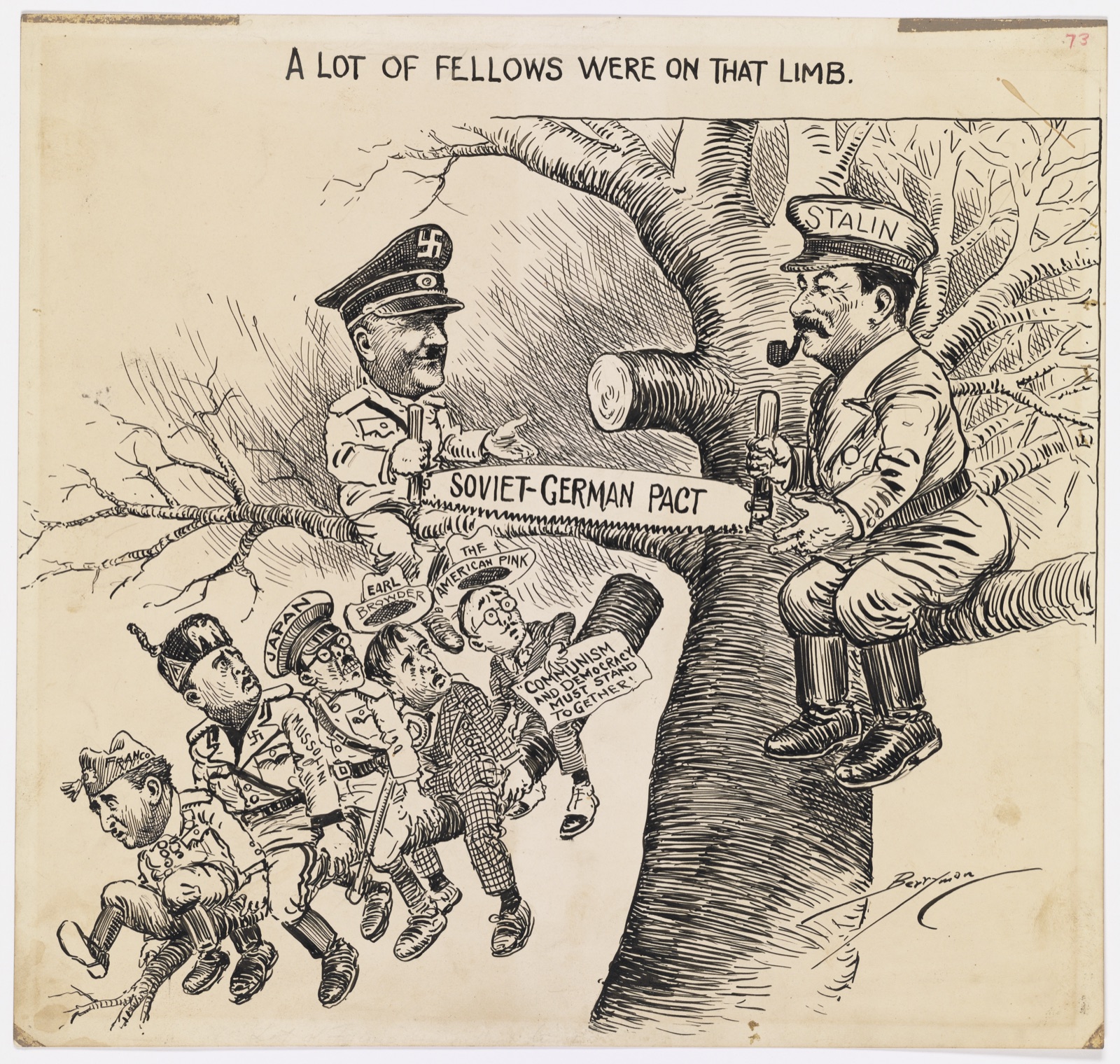 Dessin à l'encre en noir et blanc. Titre en haut : « A LOT OF FELLOWS WERE ON THAT LIMB. » Dans un grand arbre, Adolf Hitler, en uniforme et casquette frappée d'une croix gammée, et Joseph Staline, casquette marquée « STALIN », pipe à la bouche, assis en face de lui contre le tronc, tiennent chacun une poignée d'une longue scie marquée « SOVIET-GERMAN PACT » ; ils sourient. Au-dessous, cinq personnages agrippés à une branche tombent, jambes en l'air, l'air effaré : Franco, coiffé d'un calot marqué « FRANCO » ; Mussolini, en uniforme, une croix gammée sur la poitrine et une écharpe marquée de son nom ; un militaire japonais à lunettes, casquette marquée « JAPAN » ; un homme en complet à carreaux dont le chapeau, marqué « EARL BROWDER », s'envole ; un petit homme à lunettes dont le chapeau porte « THE AMERICAN PINK » et qui tient une pancarte : « COMMUNISM AND DEMOCRACY MUST STAND TOGETHER ». Signature « Berryman » en bas à droite.